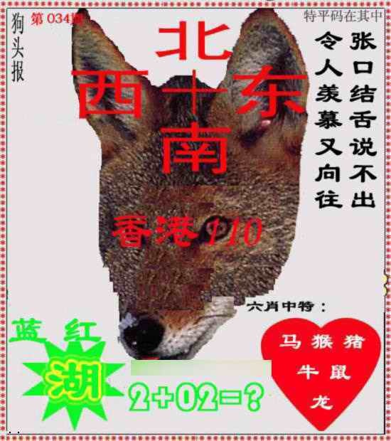 034期狗头报[图]